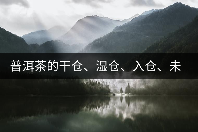 普洱茶的干倉、濕倉、入倉、未入倉及辨識區(qū)分
