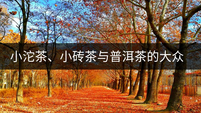 小沱茶、小磚茶與普洱茶的大眾化之路