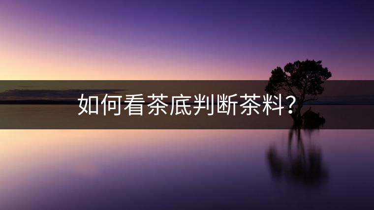 如何看茶底判斷茶料？
