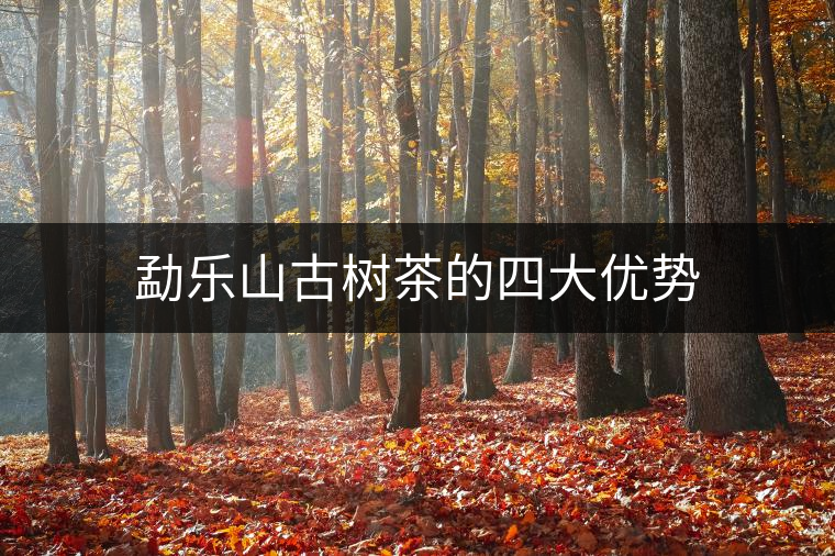 勐樂山古樹茶的四大優(yōu)勢(shì) 勐樂山古樹茶的四大優(yōu)勢(shì)