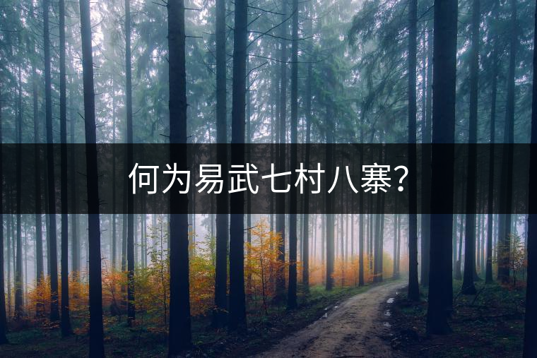 何為易武七村八寨？