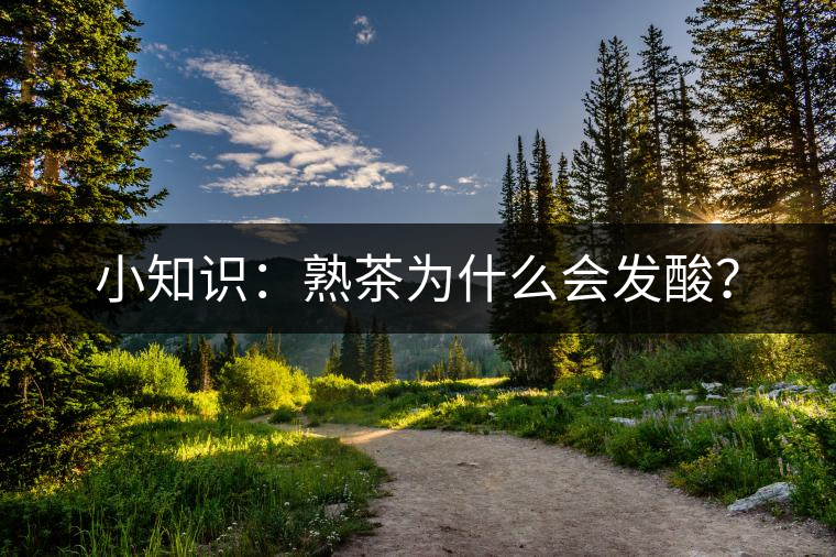 小知識：熟茶為什么會發(fā)酸？