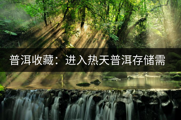 普洱收藏:進(jìn)入熱天普洱存儲(chǔ)需要注意這幾點(diǎn) 普洱收藏:進(jìn)入熱天普洱存儲(chǔ)需要注意這幾點(diǎn)