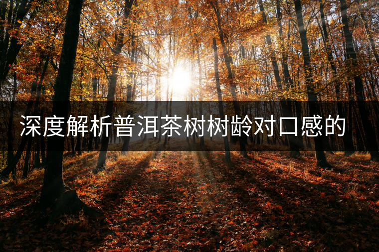 深度解析普洱茶樹樹齡對(duì)口感的影響 深度解析普洱茶樹樹齡對(duì)口感的影響