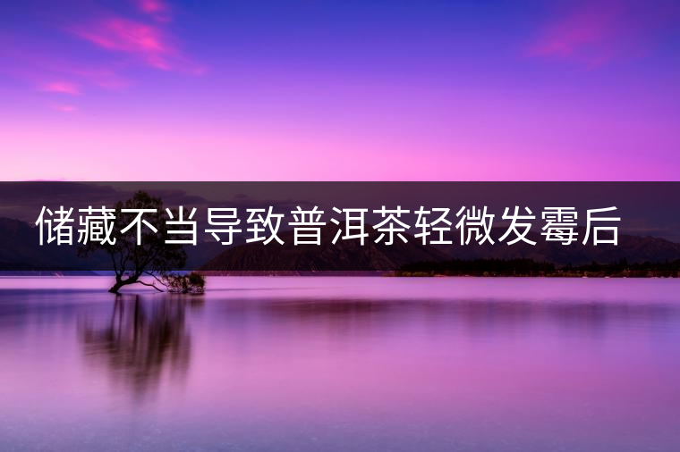 儲(chǔ)藏不當(dāng)導(dǎo)致普洱茶輕微發(fā)霉后如何處理？