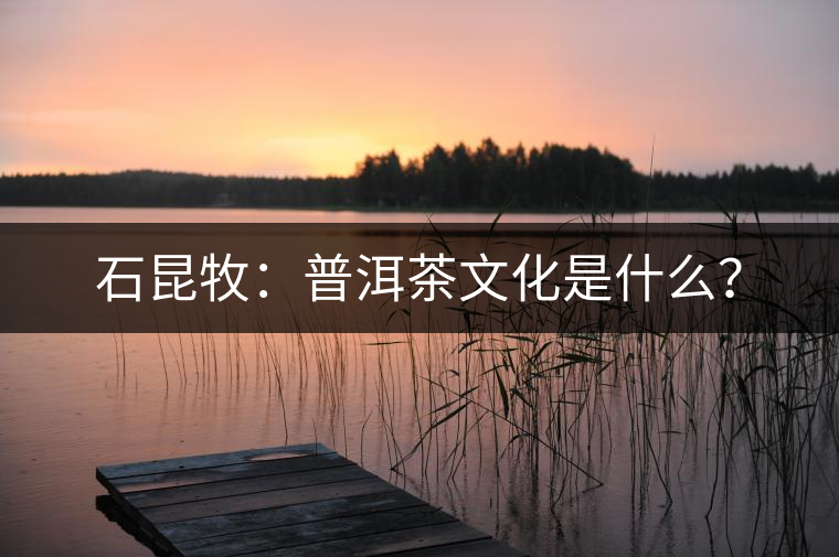 石昆牧：普洱茶文化是什么？