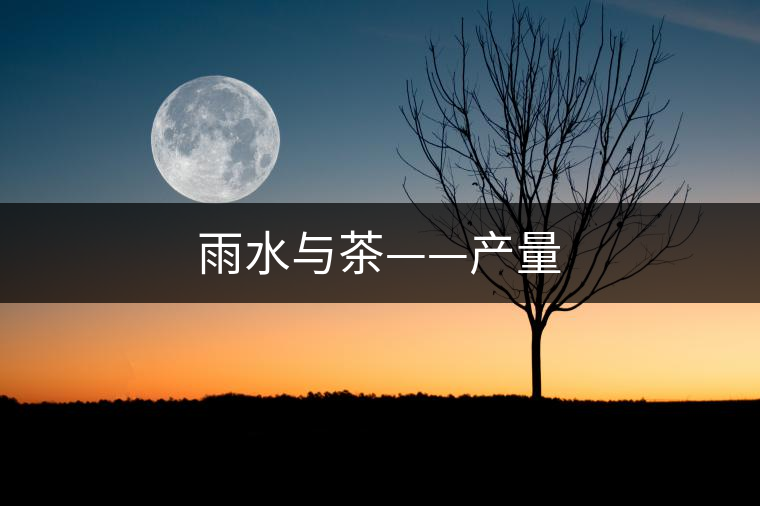 雨水與茶——產(chǎn)量 雨水與茶——產(chǎn)量