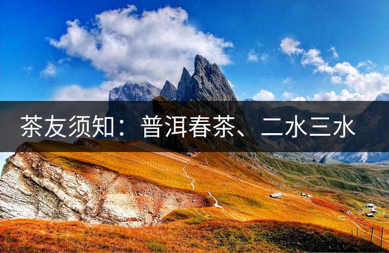 茶友須知：普洱春茶、二水三水茶和谷花茶