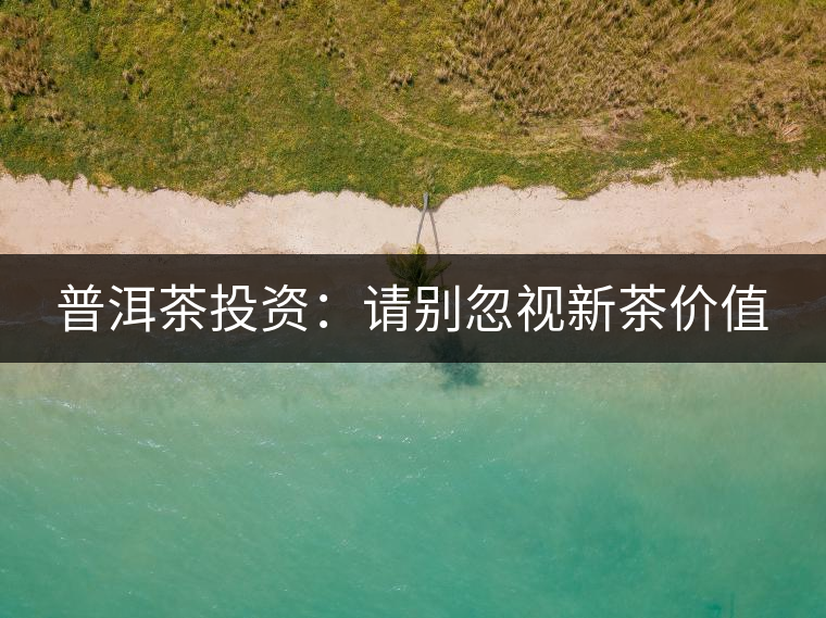 普洱茶投資:請別忽視新茶價值 普洱茶投資:請別忽視新茶價值