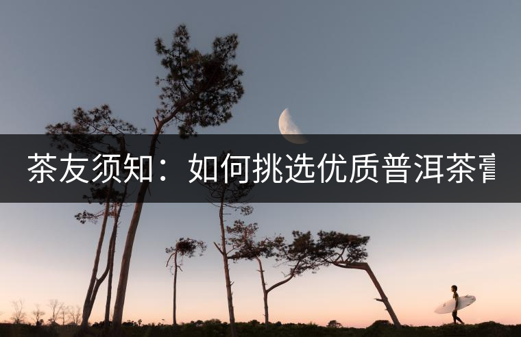 茶友須知：如何挑選優(yōu)質(zhì)普洱茶膏？