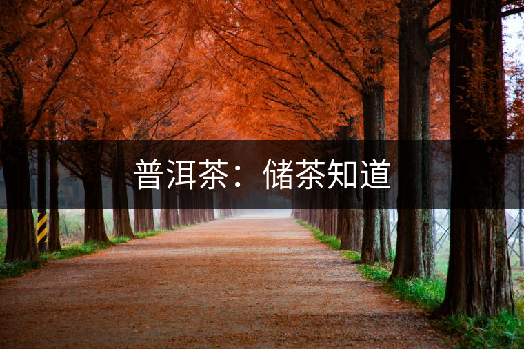 普洱茶:儲(chǔ)茶知道 普洱茶:儲(chǔ)茶知道