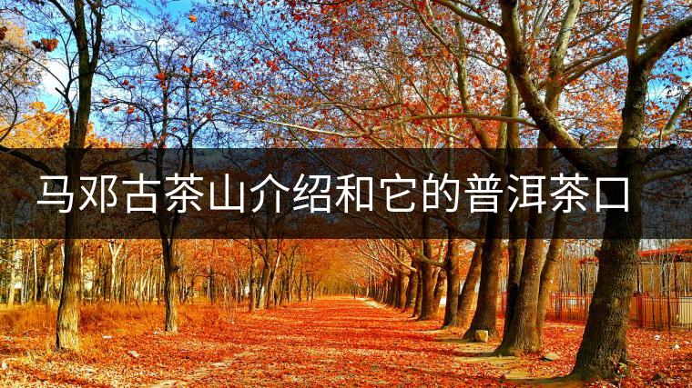 馬鄧古茶山介紹和它的普洱茶口感特點(diǎn) 馬鄧古茶山介紹和它的普洱茶口感特點(diǎn)