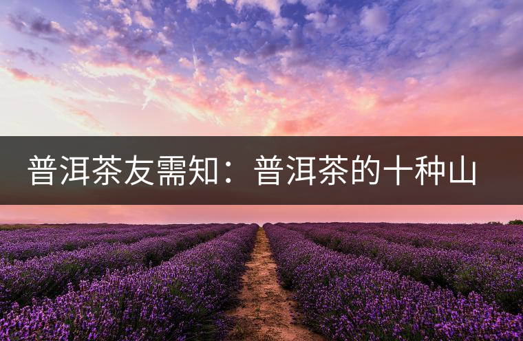 普洱茶友需知：普洱茶的十種山寨版形式