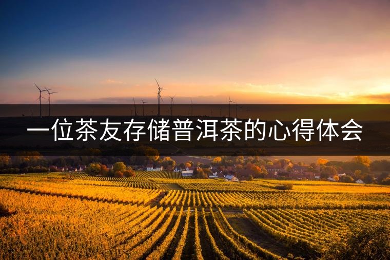 一位茶友存儲(chǔ)普洱茶的心得體會(huì) 一位茶友存儲(chǔ)普洱茶的心得體會(huì)