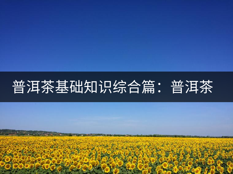 普洱茶基礎(chǔ)知識(shí)綜合篇:普洱茶與健康 普洱茶基礎(chǔ)知識(shí)綜合篇:普洱茶與健康
