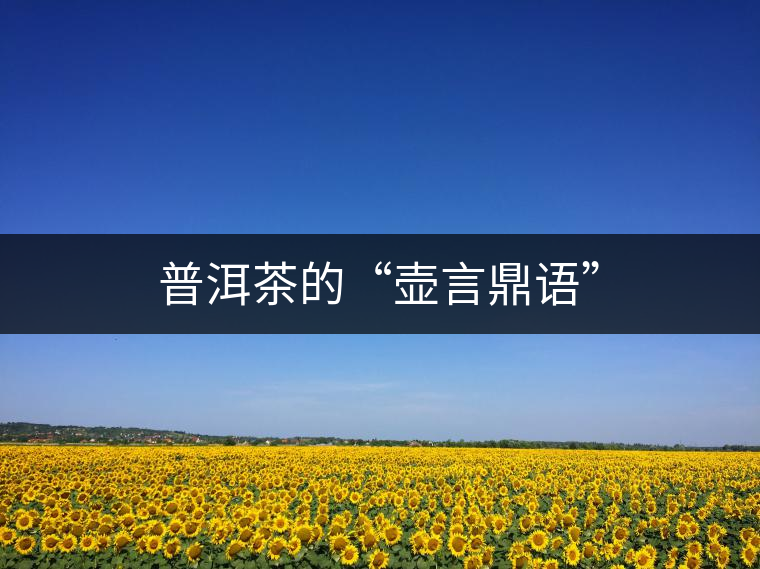 普洱茶的“壺言鼎語(yǔ)” 普洱茶的“壺言鼎語(yǔ)”