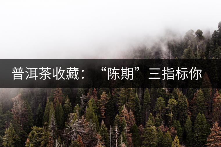 普洱茶收藏：“陳期”三指標(biāo)你知道嗎？