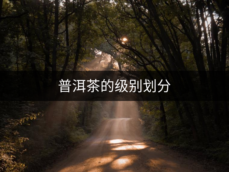 普洱茶的級(jí)別劃分