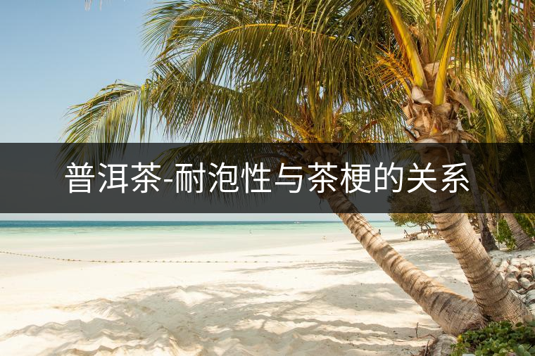 普洱茶-耐泡性與茶梗的關(guān)系