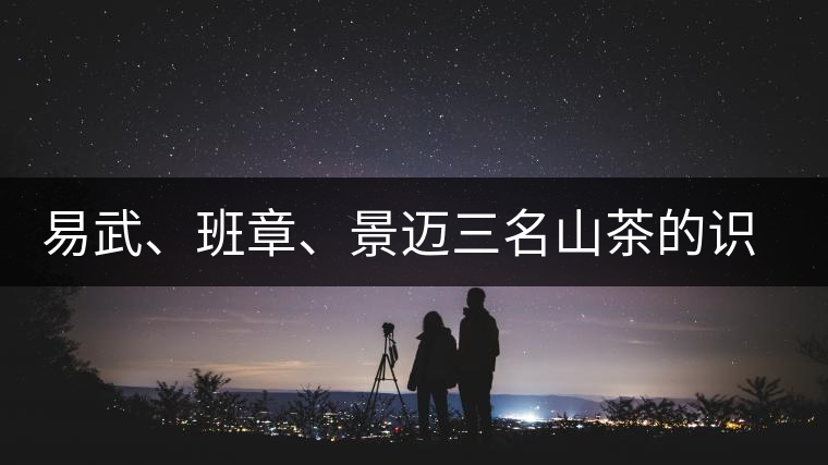易武、班章、景邁三名山茶的識(shí)別