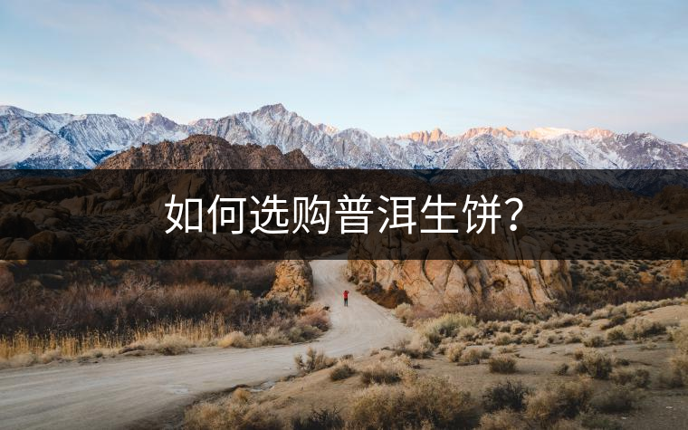 如何選購(gòu)普洱生餅？