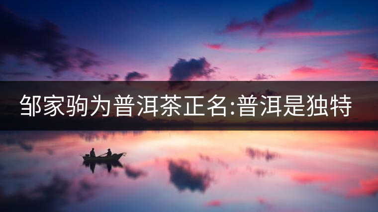 鄒家駒為普洱茶正名:普洱是獨(dú)特茶類