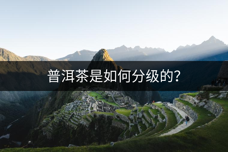 普洱茶是如何分級的？