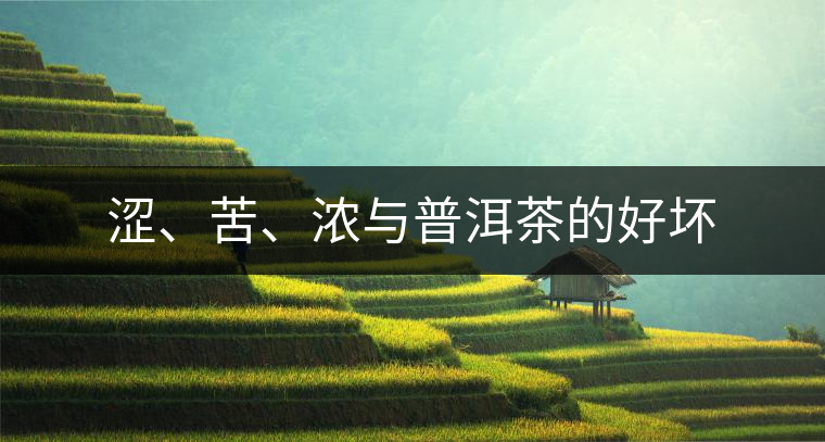 澀、苦、濃與普洱茶的好壞