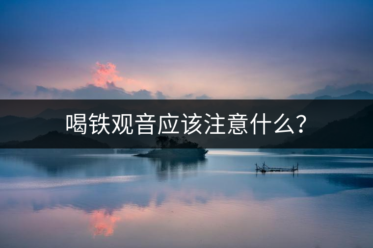 喝鐵觀音應(yīng)該注意什么？