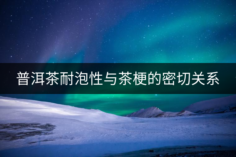 普洱茶耐泡性與茶梗的密切關系