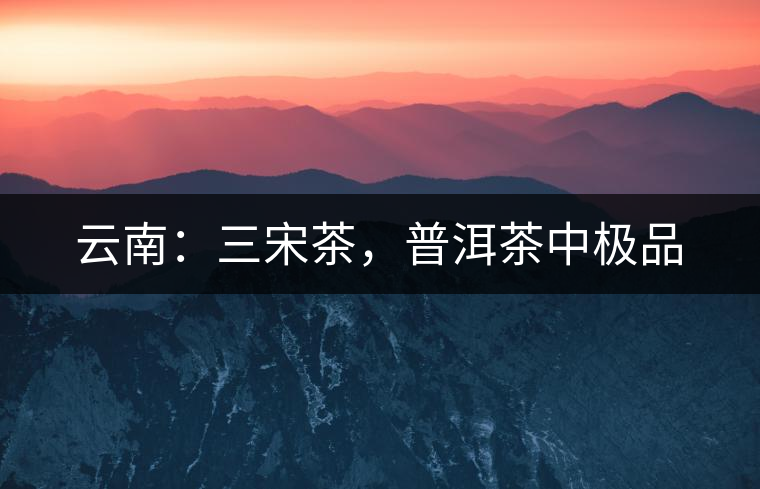 云南：三宋茶，普洱茶中極品