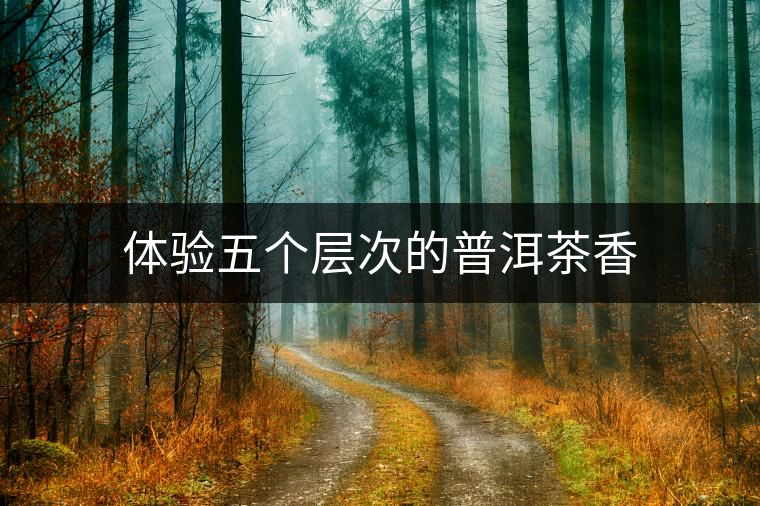 體驗(yàn)五個(gè)層次的普洱茶香 體驗(yàn)五個(gè)層次的普洱茶香