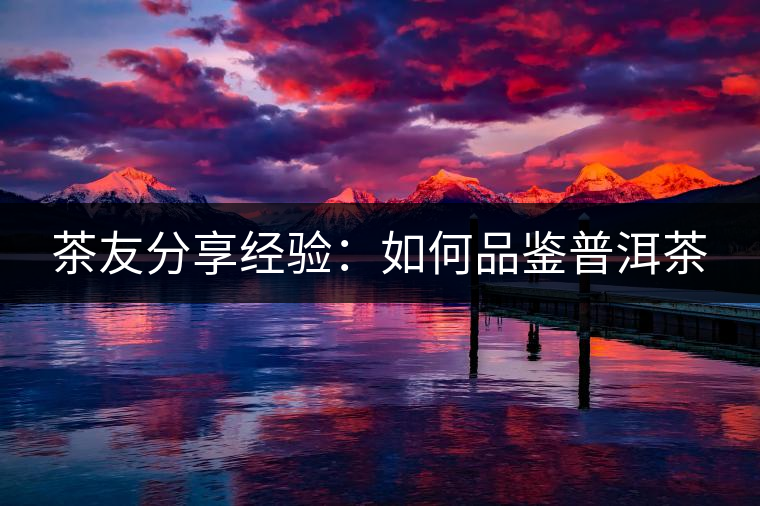 茶友分享經(jīng)驗(yàn):如何品鑒普洱茶 茶友分享經(jīng)驗(yàn):如何品鑒普洱茶