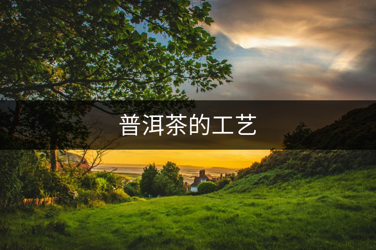 普洱茶的工藝 普洱茶的工藝