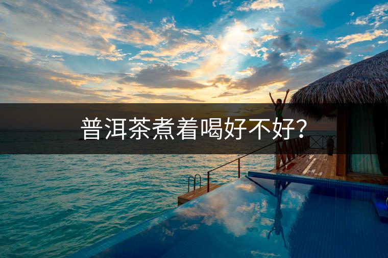 普洱茶煮著喝好不好？
