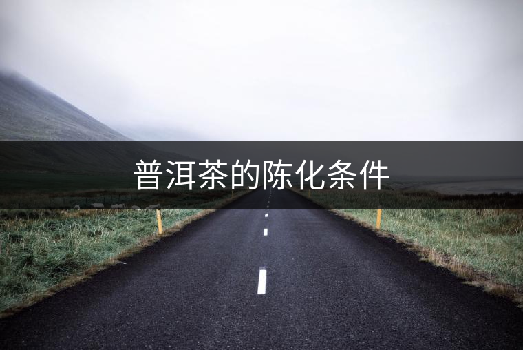 普洱茶的陳化條件 普洱茶的陳化條件