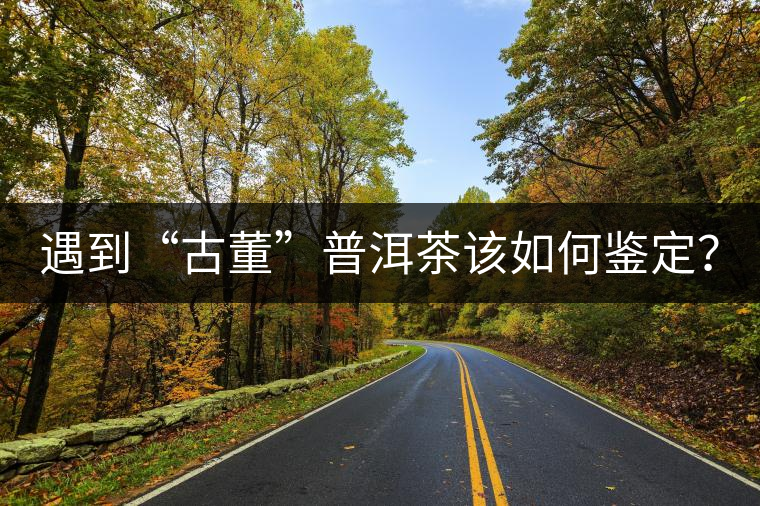 遇到“古董”普洱茶該如何鑒定？