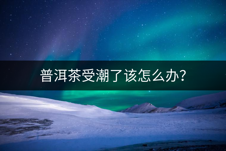 普洱茶受潮了該怎么辦？