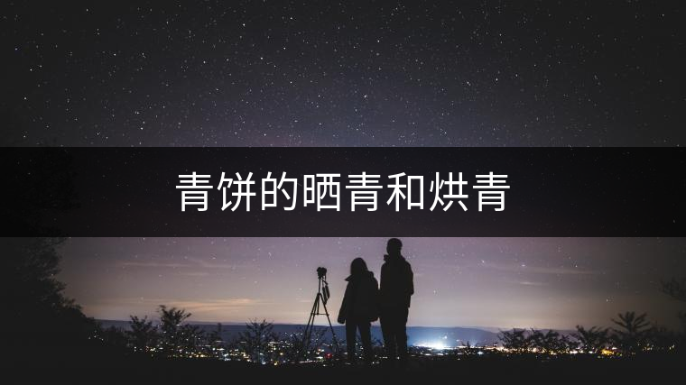 青餅的曬青和烘青 青餅的曬青和烘青