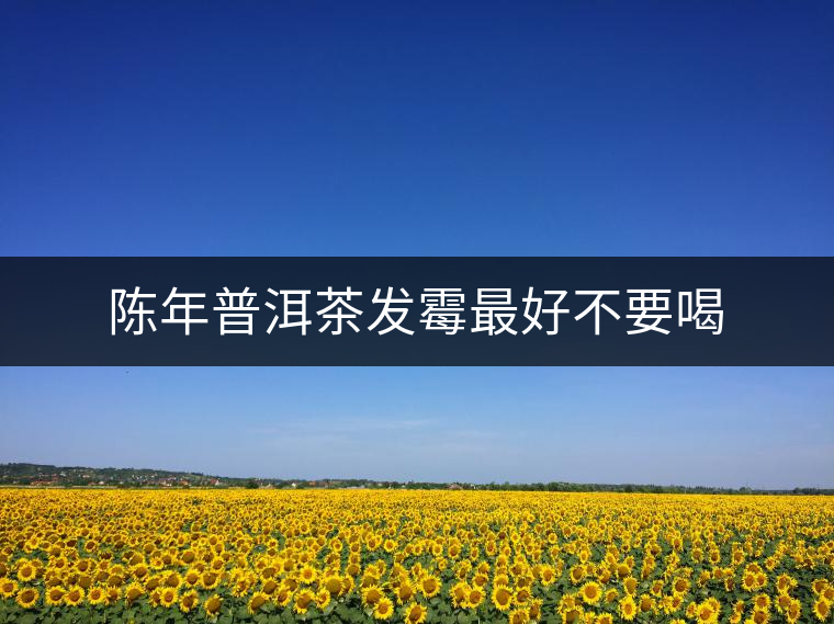 陳年普洱茶發(fā)霉最好不要喝 陳年普洱茶發(fā)霉最好不要喝