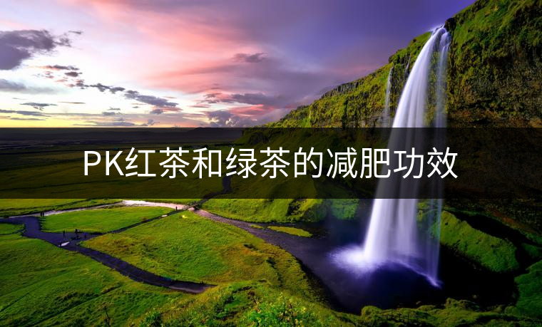 PK紅茶和綠茶的減肥功效 PK紅茶和綠茶的減肥功效