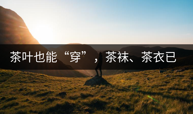 茶葉也能“穿”，茶襪、茶衣已進(jìn)入研發(fā)階段