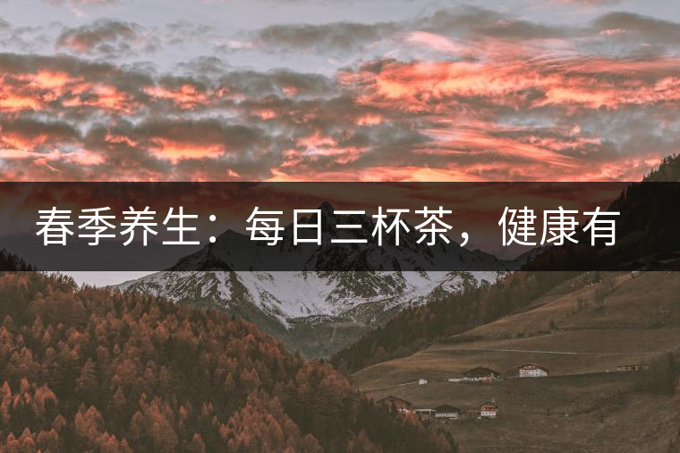 春季養(yǎng)生：每日三杯茶，健康有保障