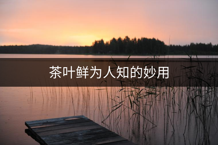 茶葉鮮為人知的妙用 茶葉鮮為人知的妙用