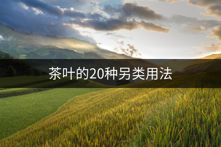 茶葉的20種另類(lèi)用法