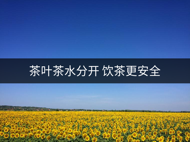 茶葉茶水分開 飲茶更安全