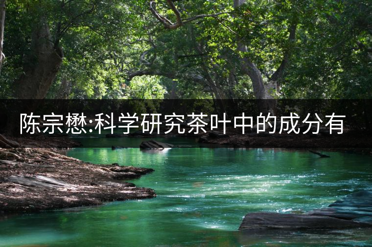 陳宗懋:科學(xué)研究茶葉中的成分有改善記憶的功能 陳宗懋:科學(xué)研究茶葉中的成分有改善記憶的功能