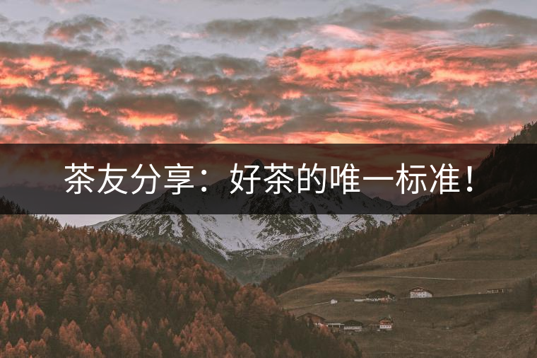 茶友分享：好茶的唯一標(biāo)準(zhǔn)！