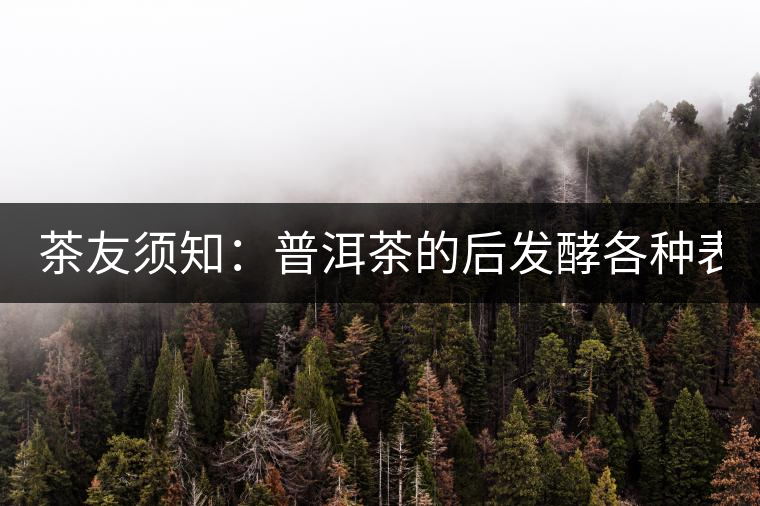 茶友須知：普洱茶的后發(fā)酵各種表現(xiàn) 喝普洱有益健康的奧妙所在！