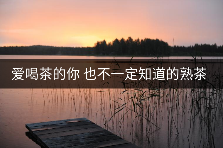 愛喝茶的你 也不一定知道的熟茶知識！